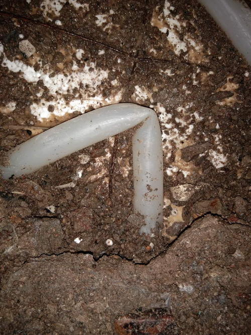 大方堵点精准查找